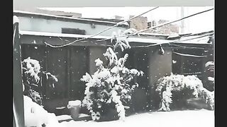 Snow fall