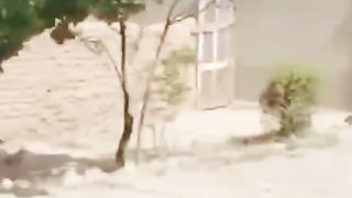 Quetta cantt