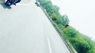 Pendi to