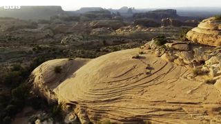 Roadrunner's Race Against Time ｜ 4K UD ｜ Seven Worlds One Planet ｜ BBC Earth
