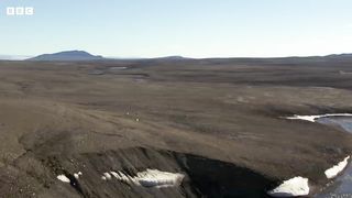 Wolf Pack Hunts A Hare ｜ 4K UHD ｜ The Hunt ｜ BBC Earth