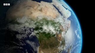 Ants Take on Giraffes ｜ How Nature Works ｜ BBC Earth