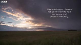 Frogs After Dark ｜ Relax with Nature ｜ The Wild Place ｜ BBC Earth