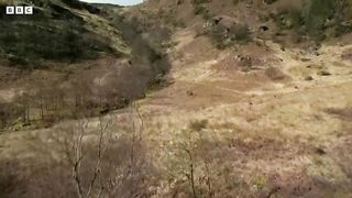 The Incredible Hunting Techniques of Eagles ｜ Natural World： Super Powered Eagles ｜ BBC Earth