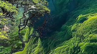 Beauti of natura