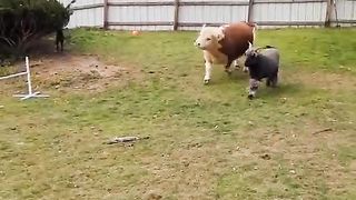 #funny
