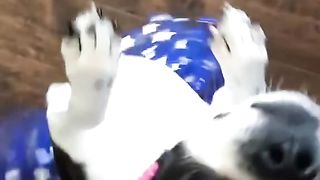 #funny