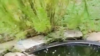 #funny