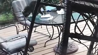 #funny