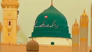 beautiful video of 