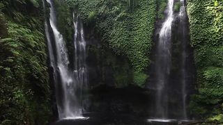 Cascade Serenade: Rose by the Waterfall