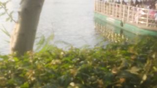 Entertainment videos viral