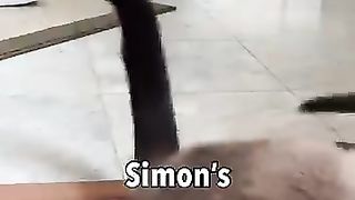 One more reason why we love cats