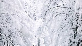 Mountain. Winter wonderland