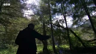 Using Salmon Guts to Study Bears ｜ How Nature Works ｜ BBC Earth