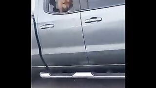 Funniest Animals Videos 2024 Try Not To Laugh Dogs