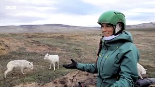 Filming a Pack of Arctic Wolves ｜ Planet Earth III Behind The Scenes ｜ BBC Earth