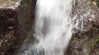 Water is the basis of life