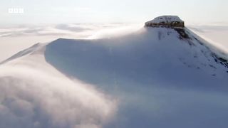 Raising Arctic Fox Cubs ｜ Animal Super Parents ｜ BBC Earth