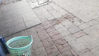 Cat journey