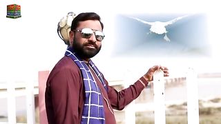 New song zafar hanjra par lgde py ni