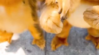 #funny