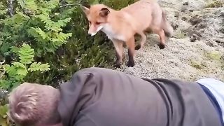 #funny