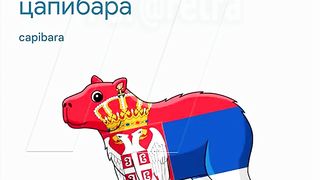 What is the name of the capybara in different languages