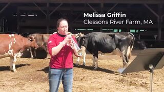 Massachusetts Dairy Farmer Plays Trumpet for her Cows