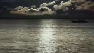 توكل على الله