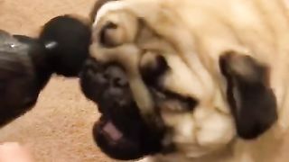 #funny