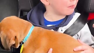 #funny