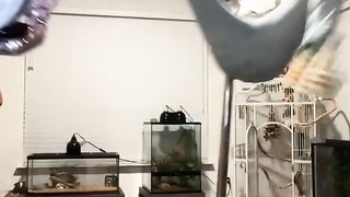 #funny