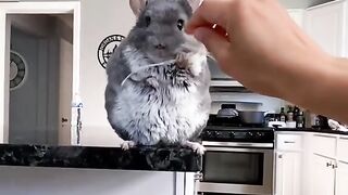 #funny
