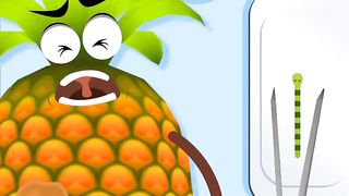 Pineapple surgery