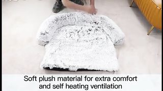 Top 10 Best Cat Beds in 2024