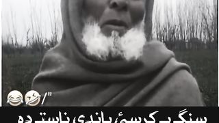 Funny video like