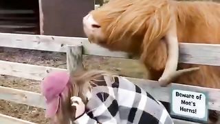 #funny
