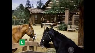 BONANZA - Conta de Thornton's (Legendado)