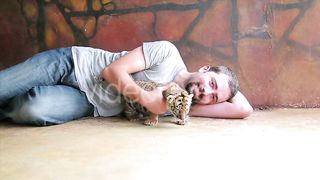 Adventurous Encounter: Tourists Playing in Tiger Temple, Bangkok