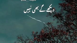 six six six six  six six six six