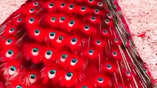 سبحان الله