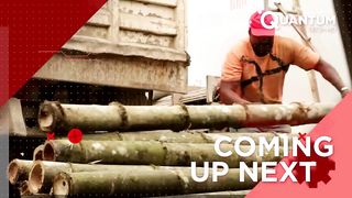 Bamboo Harvesting and Manufacturing in a $60 Billion Industry | Sustainable Process