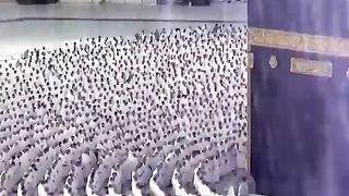 امطار
