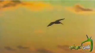 من التراث اسماء الله الحسنى