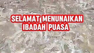 Selamat menunaikan ibadah puasa ???? lancar puasanya, lancar rezekinya