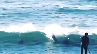 #funny
