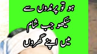 Sheikh sadi