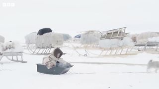 Is There Hope for Reindeer in a Warming Arctic？ ｜ Our Frozen Planet ｜ BBC Earth