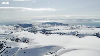 Polar Bears： Masters Of The Snow ｜ Snow Animals ｜ BBC Earth
